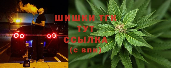 СК Арсеньев
