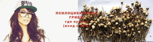 амф Армянск