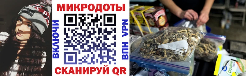 Галлюциногенные грибы Cubensis  купить  сайты  Струнино 